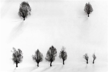 Print and Multiples, Abbas Kiarostami, Untitled, 2004, 5052
